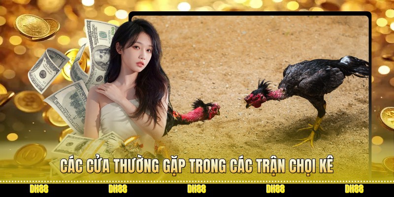 Các cửa thường gặp trong các trận chọi kê