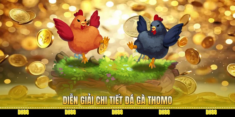 Diễn giải chi tiết đá gà Thomo