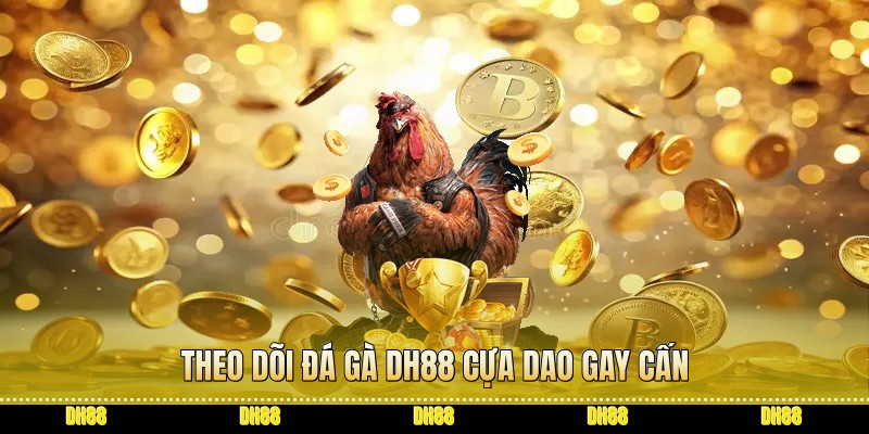 Theo dõi đá gà dh88 cựa dao gay cấn